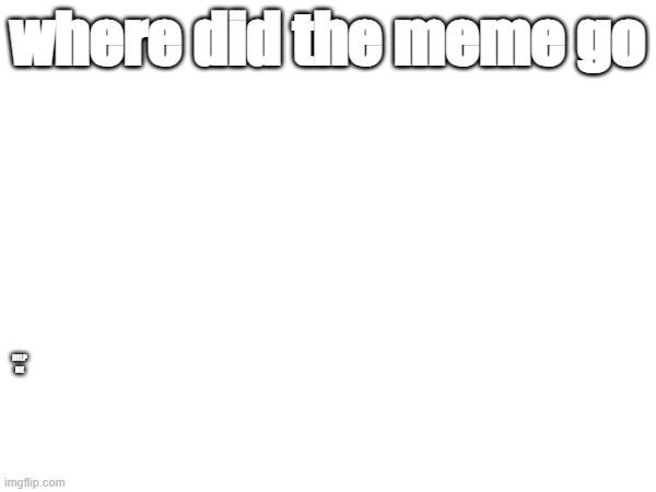 where did it go | where did the meme go; HELP ME | image tagged in blank white template,idk,cool and stupid,farted,poop,memes | made w/ Imgflip meme maker