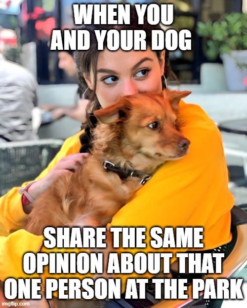 same opinion | WHEN YOU AND YOUR DOG; SHARE THE SAME OPINION ABOUT THAT ONE PERSON AT THE PARK | image tagged in dog,memes,funny,park,funny memes | made w/ Imgflip meme maker