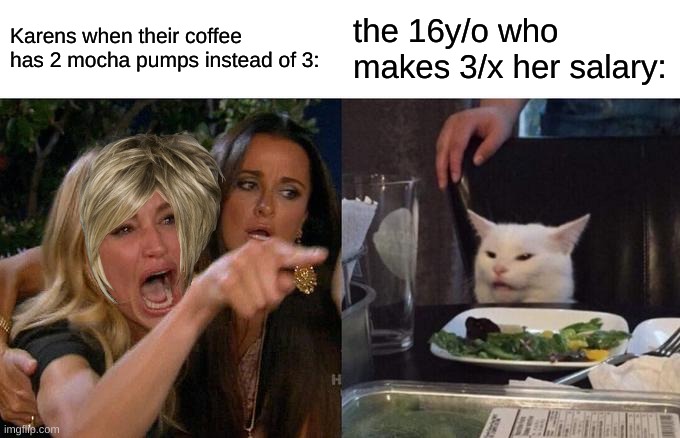 Woman Yelling At Cat | Karens when their coffee has 2 mocha pumps instead of 3:; the 16y/o who makes 3/x her salary: | image tagged in memes,woman yelling at cat,karen | made w/ Imgflip meme maker