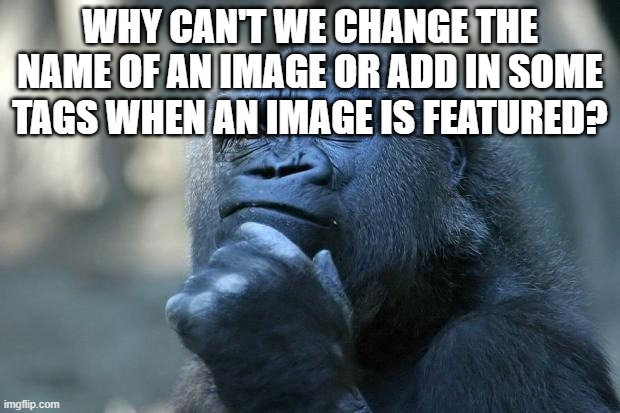 Just a question | WHY CAN'T WE CHANGE THE NAME OF AN IMAGE OR ADD IN SOME TAGS WHEN AN IMAGE IS FEATURED? | image tagged in deep thoughts,memes,imgflip,question | made w/ Imgflip meme maker