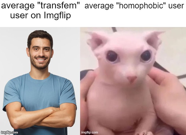 Can't be the only one here who thinks Lucotic is prob gay or smh☠️ | average "transfem" user on Imgflip; average "homophobic" user | image tagged in bingus | made w/ Imgflip meme maker