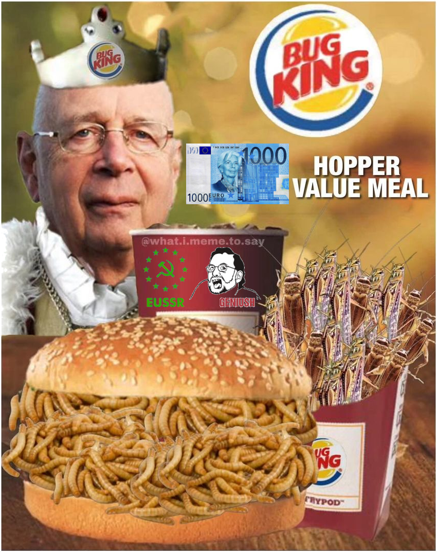 Klaus Schwab is Bug King Blank Meme Template