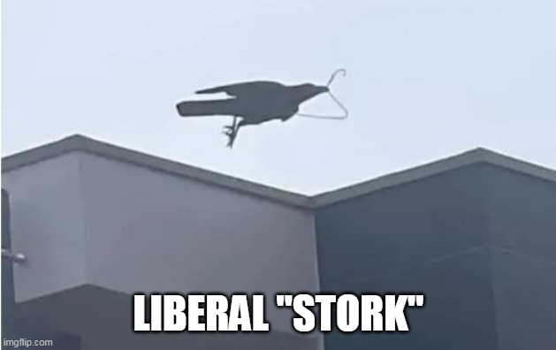 LIBERAL "STORK" | made w/ Imgflip meme maker