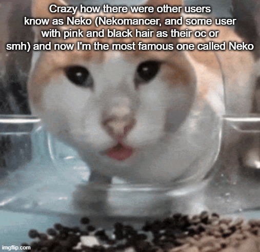 Also back when I was Mossburger, I was confused for some other user named Moss | Crazy how there were other users know as Neko (Nekomancer, and some user with pink and black hair as their oc or smh) and now I'm the most famous one called Neko | image tagged in mr shock stare | made w/ Imgflip meme maker