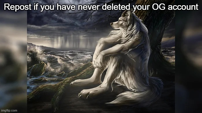 Sigma Wolf | Repost if you have never deleted your OG account | image tagged in sigma wolf | made w/ Imgflip meme maker