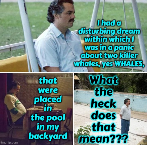 I've Never Had Disturbing Dreams Before.  Never. | that were placed in the pool in my backyard; What the heck does that mean??? I had a disturbing dream within which I was in a panic about two killer whales, yes WHALES, | image tagged in memes,sad pablo escobar,wtf,whales,dreams,follow your dreams | made w/ Imgflip meme maker