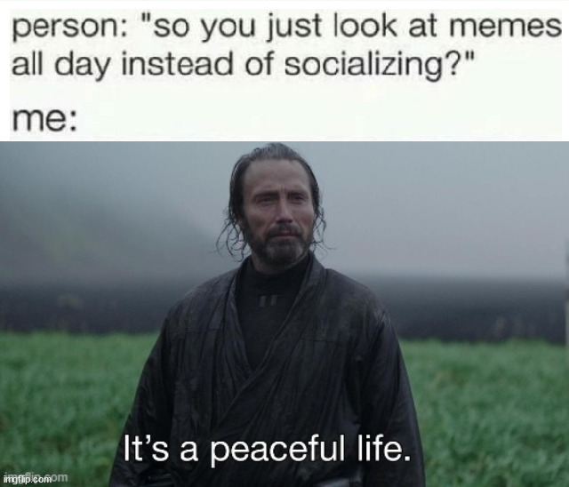 Peaceful | image tagged in peaceful life | made w/ Imgflip meme maker