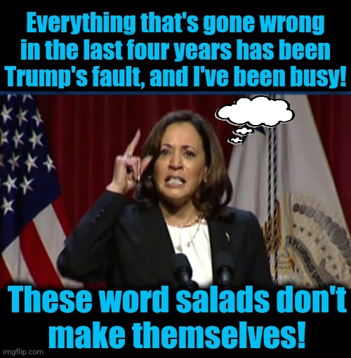 The essence of Kamala's campaign for the presidency | Everything that's gone wrong
in the last four years has been
Trump's fault, and I've been busy! These word salads don't
make themselves! | image tagged in kamala angry,memes,democrats,word salads,idiot,incompetence | made w/ Imgflip meme maker