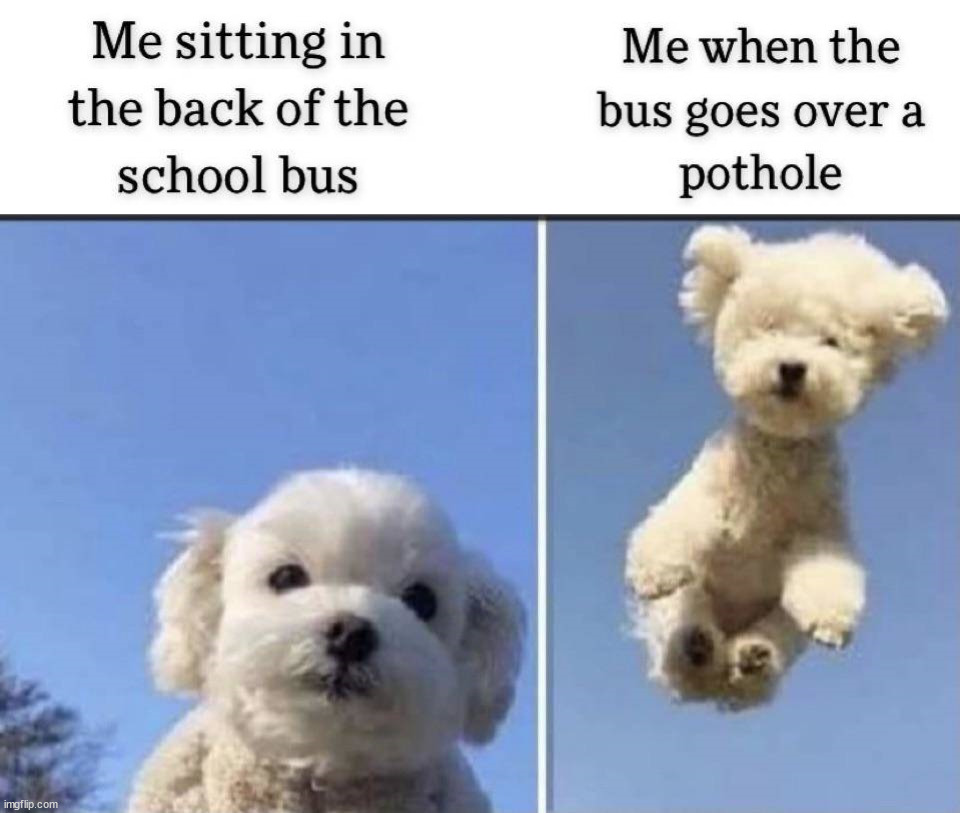 Ride the bus | image tagged in school | made w/ Imgflip meme maker