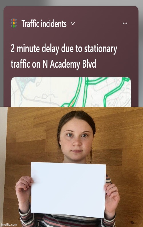 PSA | image tagged in greta,funny,traffic,stationary | made w/ Imgflip meme maker