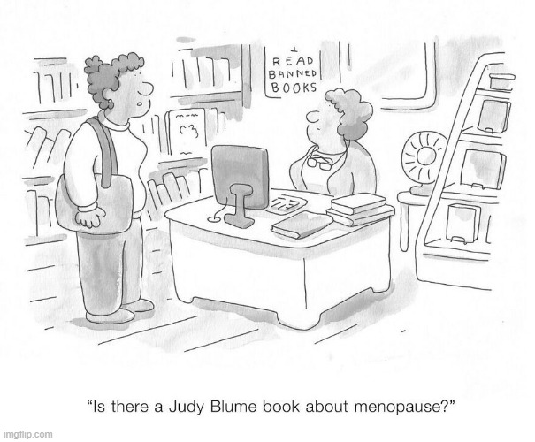 Are You There God? It's Menopause | image tagged in comics | made w/ Imgflip meme maker