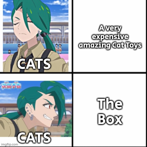 Better bring a box for your cats. | A very expensive amazing Cat Toys; CATS; The Box; CATS | image tagged in memes,funny,cats | made w/ Imgflip meme maker