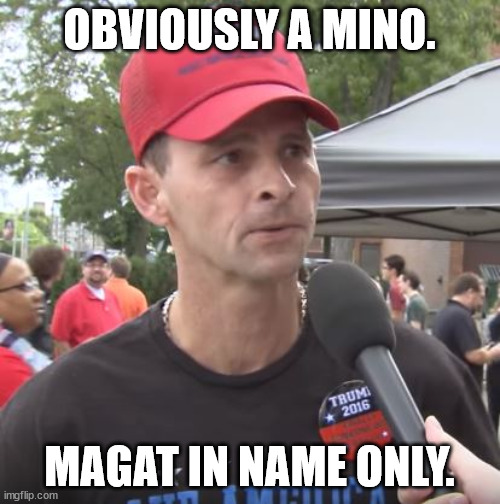 Trump supporter | OBVIOUSLY A MINO. MAGAT IN NAME ONLY. | image tagged in trump supporter | made w/ Imgflip meme maker