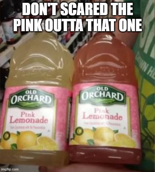 Pink | DON'T SCARED THE PINK OUTTA THAT ONE | image tagged in you had one job | made w/ Imgflip meme maker