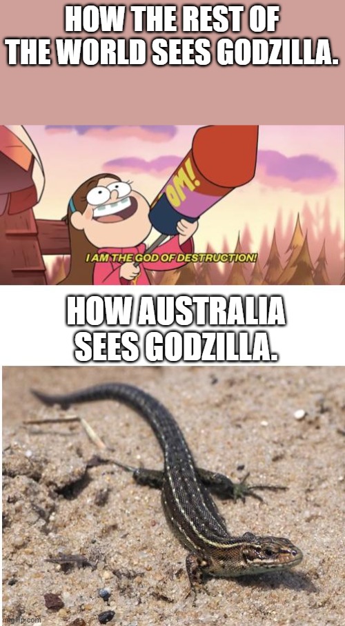 He isn't scary | HOW THE REST OF THE WORLD SEES GODZILLA. HOW AUSTRALIA SEES GODZILLA. | image tagged in i am the god of destruction,godzilla,gravity | made w/ Imgflip meme maker