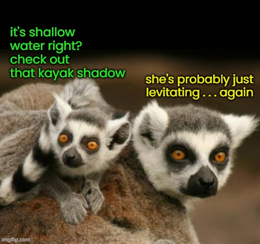 it's shallow water right? check out that kayak shadow she's probably just levitating . . . again | made w/ Imgflip meme maker