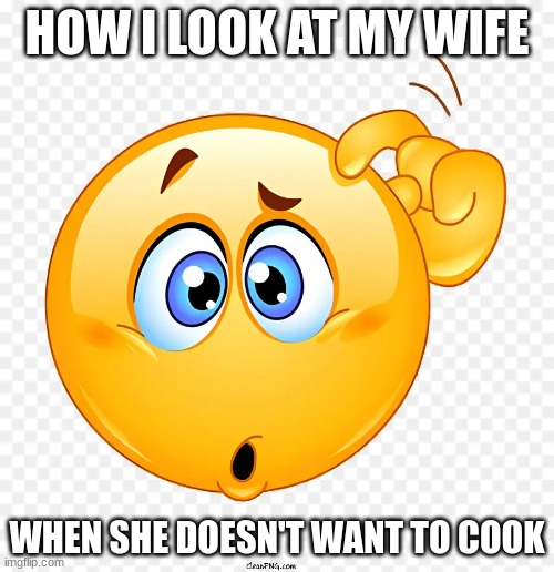 Huh? | HOW I LOOK AT MY WIFE; WHEN SHE DOESN'T WANT TO COOK | image tagged in wife,confused | made w/ Imgflip meme maker