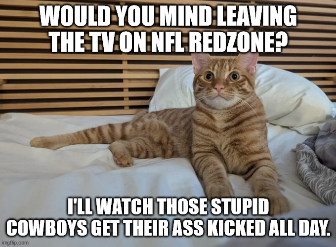 Cats have all the fun | WOULD YOU MIND LEAVING THE TV ON NFL REDZONE? I'LL WATCH THOSE STUPID COWBOYS GET THEIR ASS KICKED ALL DAY. | image tagged in cat,dallas cowboys | made w/ Imgflip meme maker