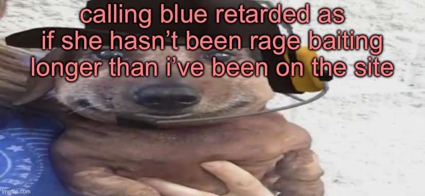 chucklenuts | calling blue retarded as if she hasn’t been rage baiting longer than i’ve been on the site | image tagged in chucklenuts | made w/ Imgflip meme maker