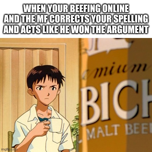 True Story | image tagged in shinji ikari,neon genesis evangelion,evangelion,mug,argument,internet | made w/ Imgflip meme maker