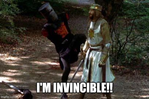 black knight | I'M INVINCIBLE!! | image tagged in black knight | made w/ Imgflip meme maker