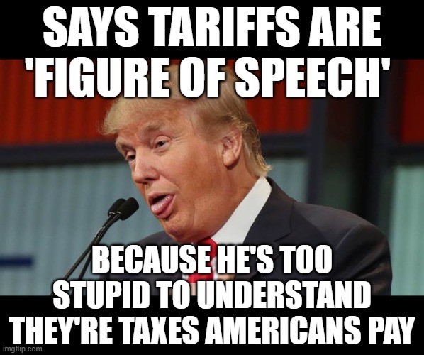 Oh yeah, the 'business man' | SAYS TARIFFS ARE 'FIGURE OF SPEECH'; BECAUSE HE'S TOO STUPID TO UNDERSTAND THEY'RE TAXES AMERICANS PAY | image tagged in dumb trump,tariffs | made w/ Imgflip meme maker