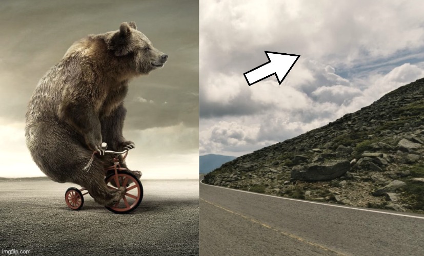 image tagged in tricycle bear,uphill,hard,journey | made w/ Imgflip meme maker