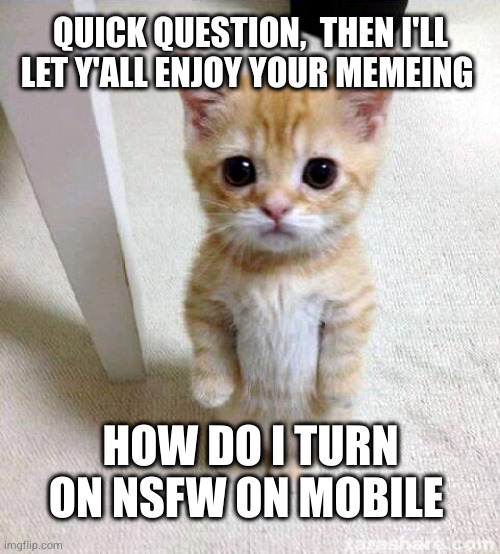 plz don't kill me, I'm just wondering | QUICK QUESTION,  THEN I'LL LET Y'ALL ENJOY YOUR MEMEING; HOW DO I TURN ON NSFW ON MOBILE | image tagged in memes,cute cat | made w/ Imgflip meme maker