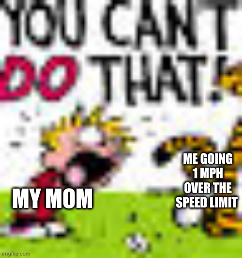 who relate | ME GOING 1 MPH OVER THE SPEED LIMIT; MY MOM | image tagged in calvin and hobbes you can't do that | made w/ Imgflip meme maker