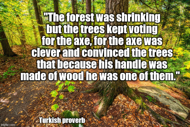 the Axe and the trees | "The forest was shrinking but the trees kept voting for the axe, for the axe was clever and convinced the trees that because his handle was made of wood he was one of them."; Turkish proverb | image tagged in proverb | made w/ Imgflip meme maker