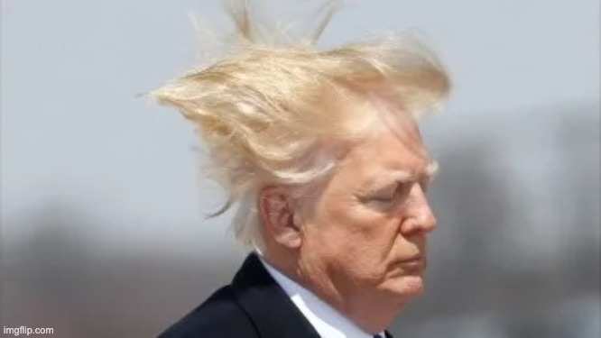 Trump Knows Wind | image tagged in trump knows wind | made w/ Imgflip meme maker