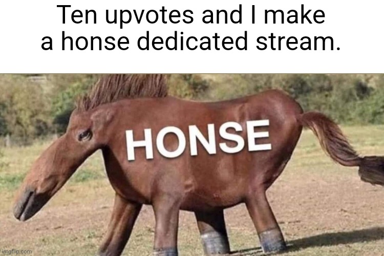 honse | Ten upvotes and I make a honse dedicated stream. | image tagged in honse | made w/ Imgflip meme maker