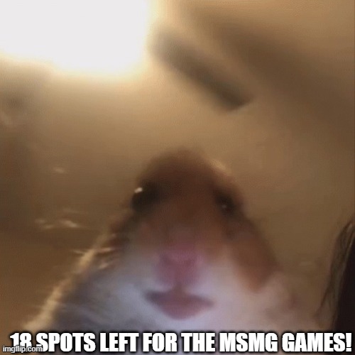 hampter | 18 SPOTS LEFT FOR THE MSMG GAMES! | image tagged in hampter | made w/ Imgflip meme maker