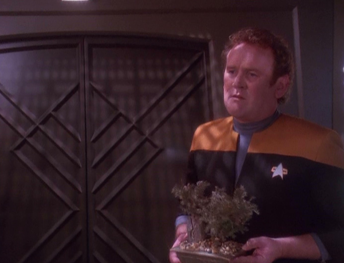 O'Brien Holding A Plant. Blank Meme Template