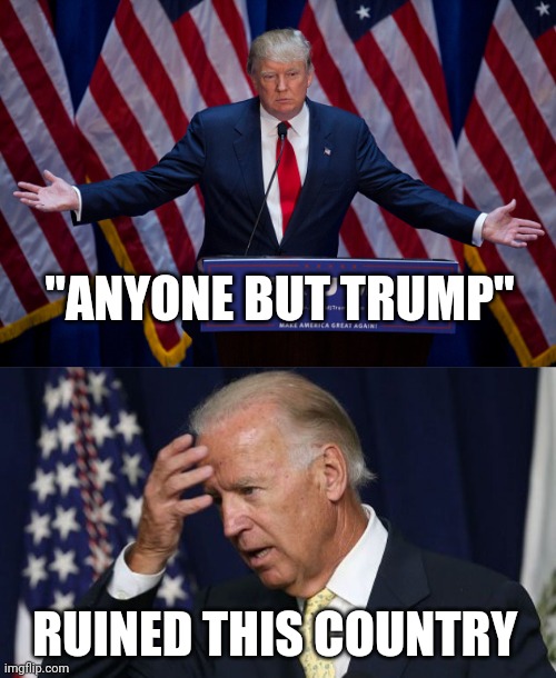 "ANYONE BUT TRUMP" RUINED THIS COUNTRY | image tagged in donald trump,joe biden worries | made w/ Imgflip meme maker