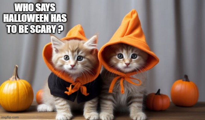 memes by Brad - Cute kittens want to know why Halloween has to be scary | WHO SAYS HALLOWEEN HAS TO BE SCARY ? | image tagged in funny,kittens,cats,halloween,cute kittens,humor | made w/ Imgflip meme maker