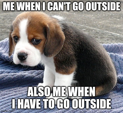 sad dog | ME WHEN I CAN'T GO OUTSIDE; ALSO ME WHEN I HAVE TO GO OUTSIDE | image tagged in sad dog | made w/ Imgflip meme maker