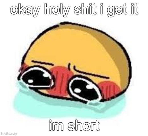 amb shamb bbbmba | okay holy shit i get it; im short | image tagged in amb shamb bbbmba | made w/ Imgflip meme maker