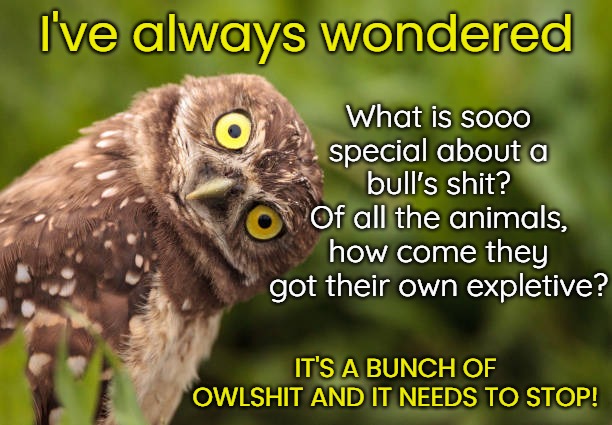 I've always wondered What is sooo special about a bull's shit?
Of all the animals, how come they
got their own expletive? IT'S A BUNCH OF OW | made w/ Imgflip meme maker