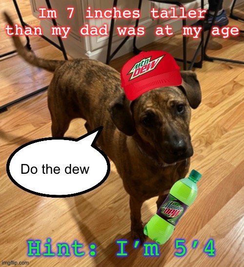 Do the dew | Im 7 inches taller than my dad was at my age; Hint: I’m 5’4 | image tagged in do the dew | made w/ Imgflip meme maker