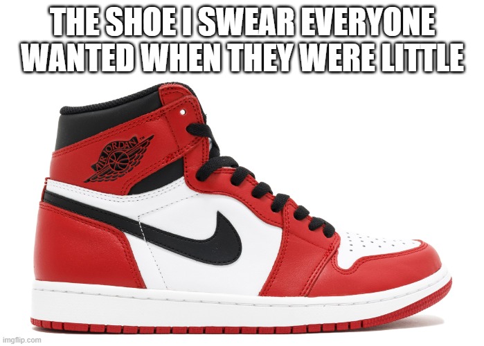 nike jordan | THE SHOE I SWEAR EVERYONE WANTED WHEN THEY WERE LITTLE | image tagged in nike jordan | made w/ Imgflip meme maker