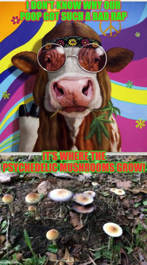 I DON'T KNOW WHY OUR POOP GOT SUCH A BAD RAP IT'S WHERE THE PSYCHEDELIC MUSHROOMS GROW! | made w/ Imgflip meme maker