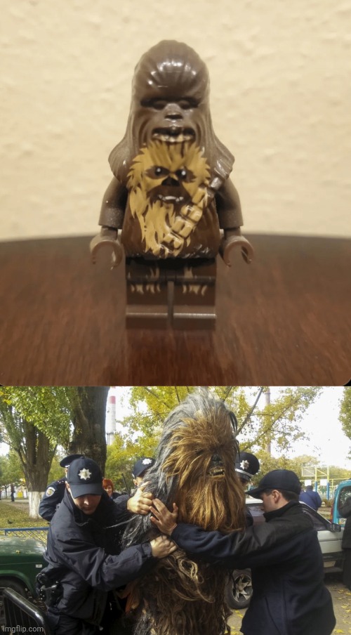 Chewbacca toy job fail | image tagged in chewbacca arrested,chewbacca,you had one job,memes,toy,star wars | made w/ Imgflip meme maker