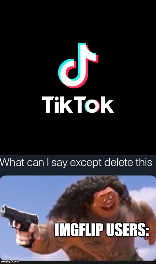 It's only a social media platform. Not some sort of poison. | IMGFLIP USERS: | image tagged in tiktok logo,what can i say except delete this,tiktok | made w/ Imgflip meme maker