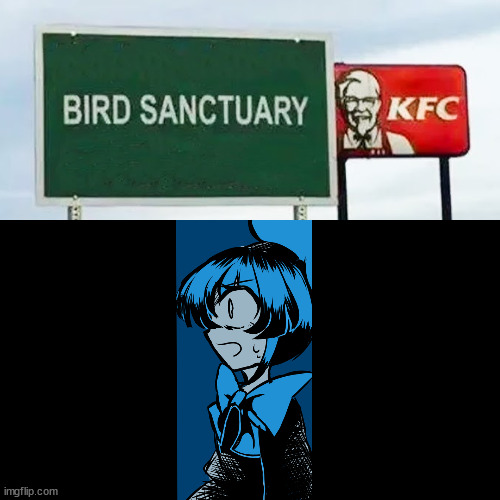 Bird sanctuary near KFC, poor kaley. | image tagged in funny,sign,funny signs,bird | made w/ Imgflip meme maker