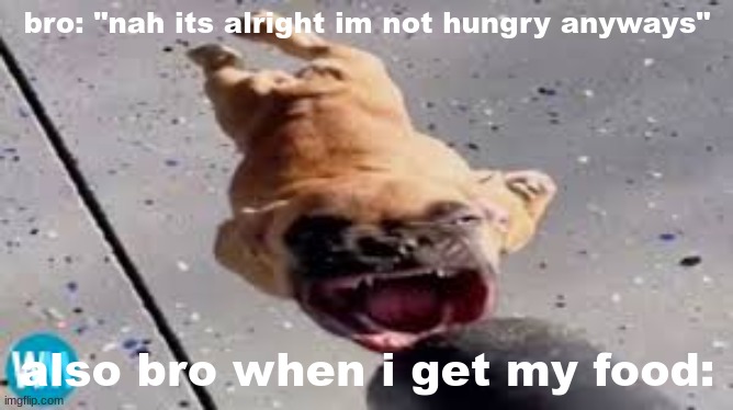 goofy ahh dog | bro: "nah its alright im not hungry anyways"; also bro when i get my food: | image tagged in funny,food,bro | made w/ Imgflip meme maker