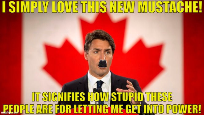 Justin Trudeau | I SIMPLY LOVE THIS NEW MUSTACHE! IT SIGNIFIES HOW STUPID THESE PEOPLE ARE FOR LETTING ME GET INTO POWER! | image tagged in justin trudeau | made w/ Imgflip meme maker