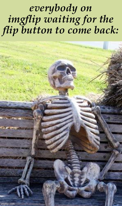 Waiting Skeleton Meme | everybody on imgflip waiting for the flip button to come back: | image tagged in memes,waiting skeleton | made w/ Imgflip meme maker