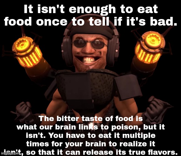 Used to hate bean stew but now It's one of my favorite. | It isn't enough to eat food once to tell if it's bad. The bitter taste of food is what our brain links to poison, but it isn't. You have to eat it multiple times for your brain to realize it isn't, so that it can release its true flavors. | made w/ Imgflip meme maker