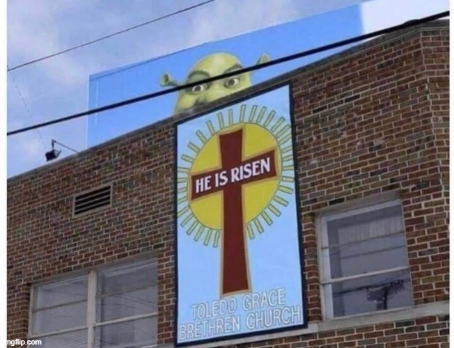 Shrek | image tagged in shrek | made w/ Imgflip meme maker